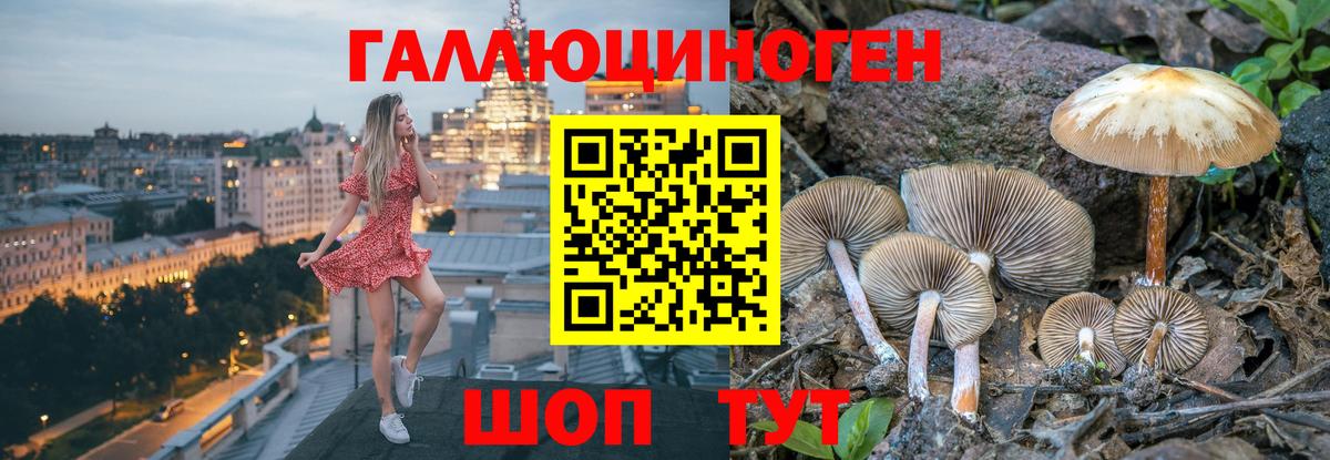 Псилоцибиновые грибы Psilocybe  Псилоцибиновые грибы прущие грибы  Вход с VPN  Стерлитамак 